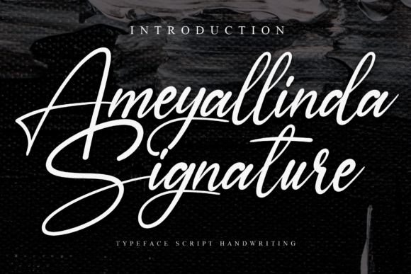 Ameyallinda Signature: A Modern Handwritten Font for Web Design