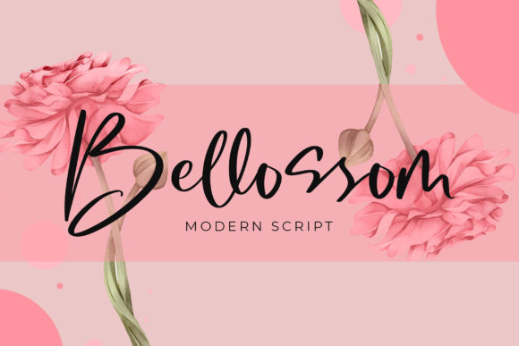 Bellossom Font for Timeless Campaign Design
