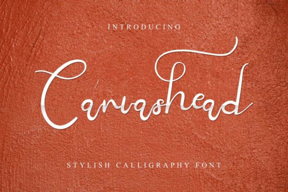 Canvashead Font Review: A Vintage Script for Makers