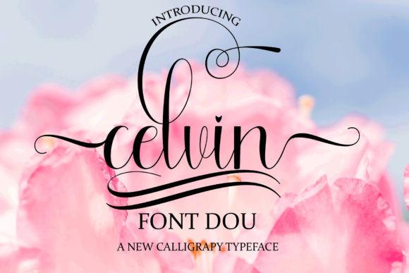 Celvin: The Elegant Script Handwritten Font for Branding