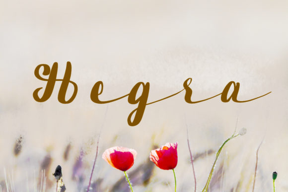 Hegra Font Review: Elevating Campaigns with Elegant Script