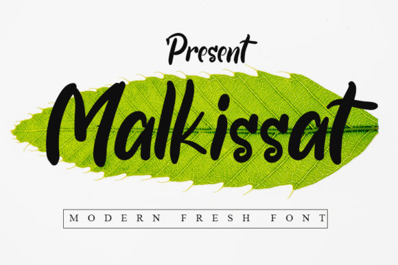 Malkissat Font Review: The Sweet Script for Campaigns