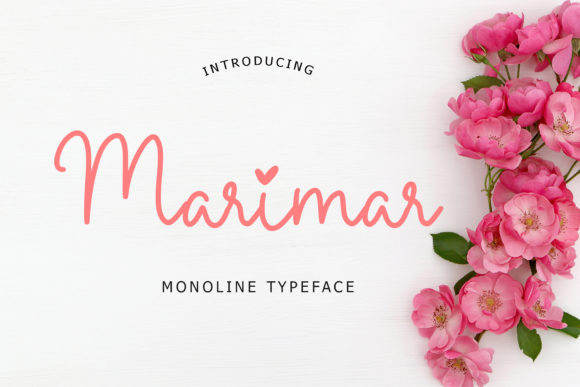 Marimar Font Review: The Perfect Script for Elegant Branding